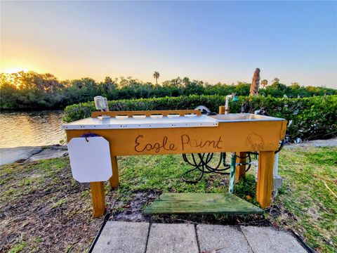 A home in PUNTA GORDA