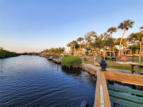 A home in PUNTA GORDA