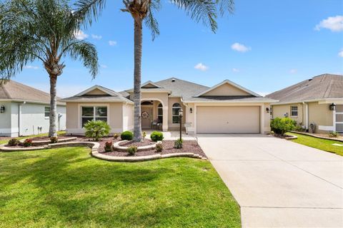 2669 HALSEY TERRACE THE VILLAGES FL 32162