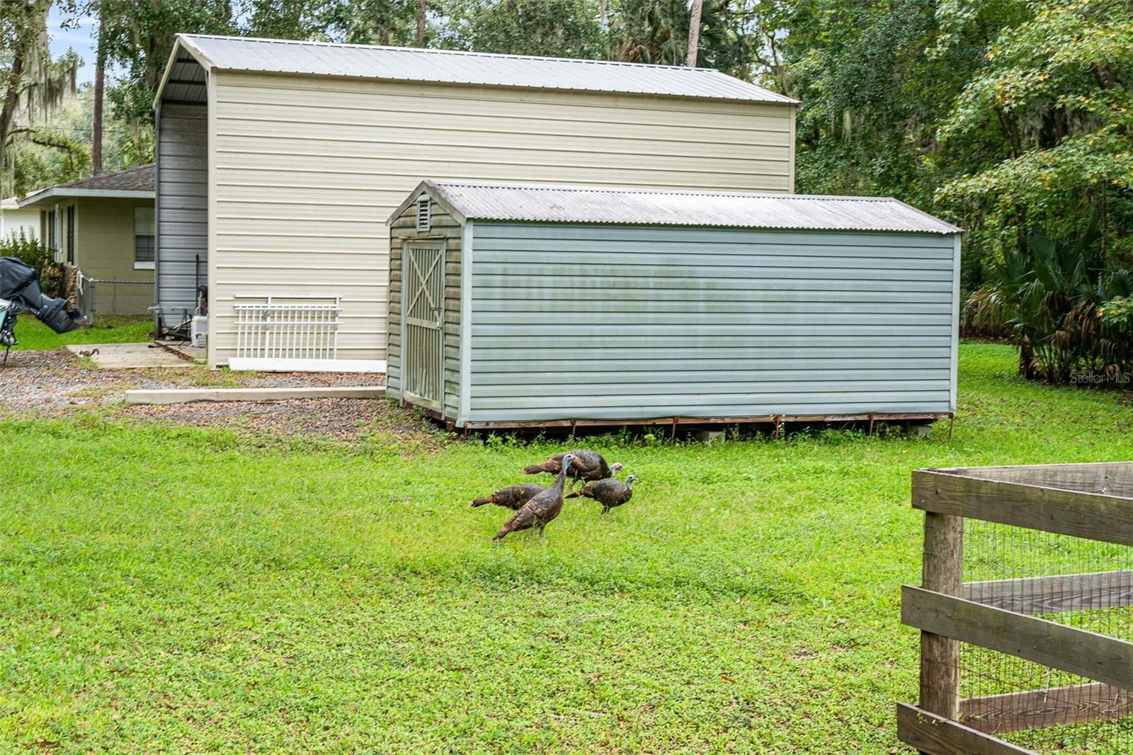 ST JOHNS GARDENS ADD 03 - Residential