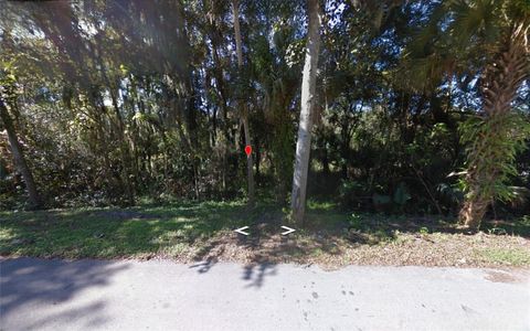 PARK AVENUE DE LEON SPRINGS FL 32130