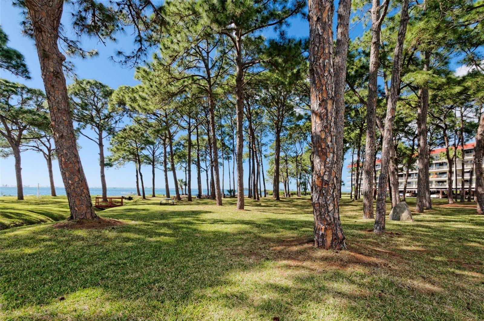 BELLA COSTA AT MEDITERRANEAN MANORS - Residential