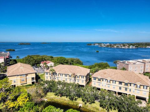 592 BELLA LOOP DUNEDIN FL 34698