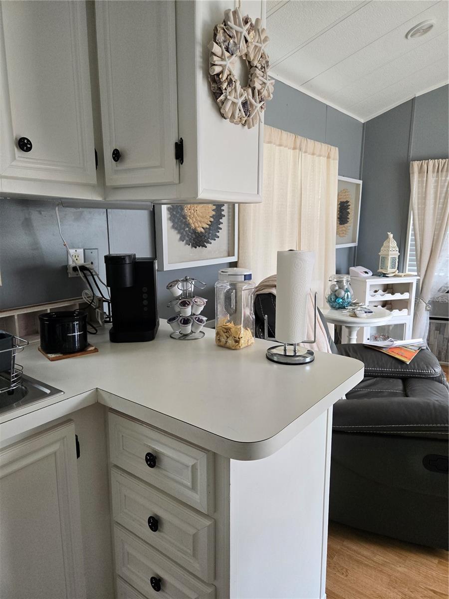 BLUE CYPRESS GOLF & RV RESORT - Residential