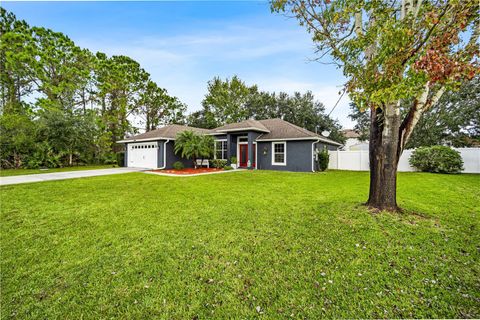 A home in PALM COAST