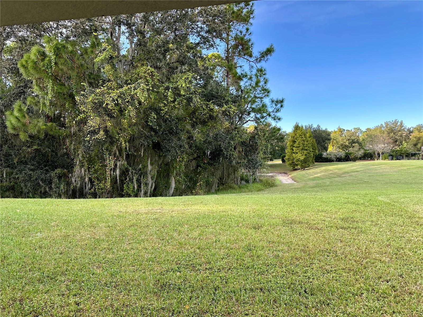 LIVE OAK PRESERVE 2C VILLAGES - Residential