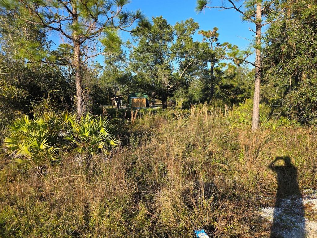 Photo of 2212 Wakefield Street, Port Charlotte, FL 33948 (MLS # D6145872)