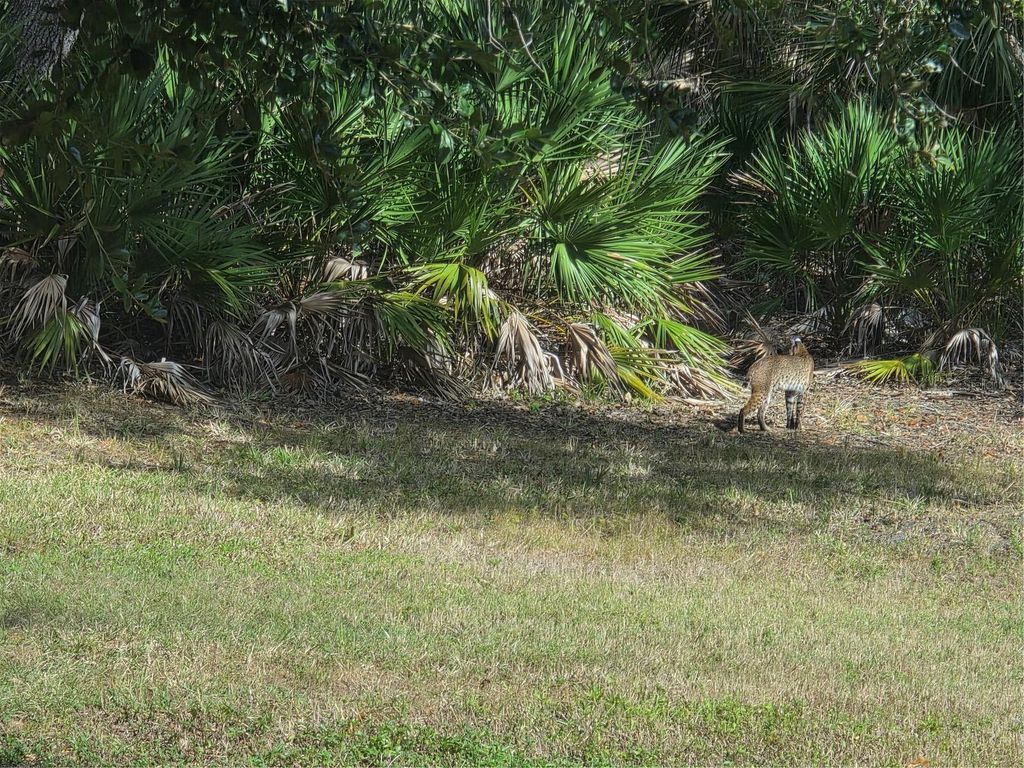 Photo of 2212 Wakefield Street, Port Charlotte, FL 33948 (MLS # D6145872)