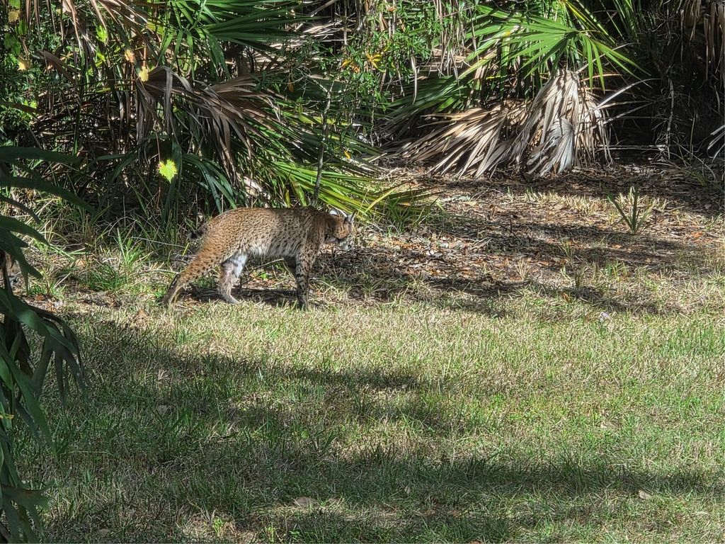 Photo of 2212 Wakefield Street, Port Charlotte, FL 33948 (MLS # D6145872)