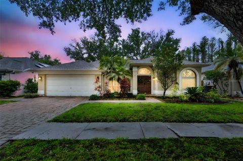 3722 CYPRESS MEADOWS ROAD TAMPA FL 33624