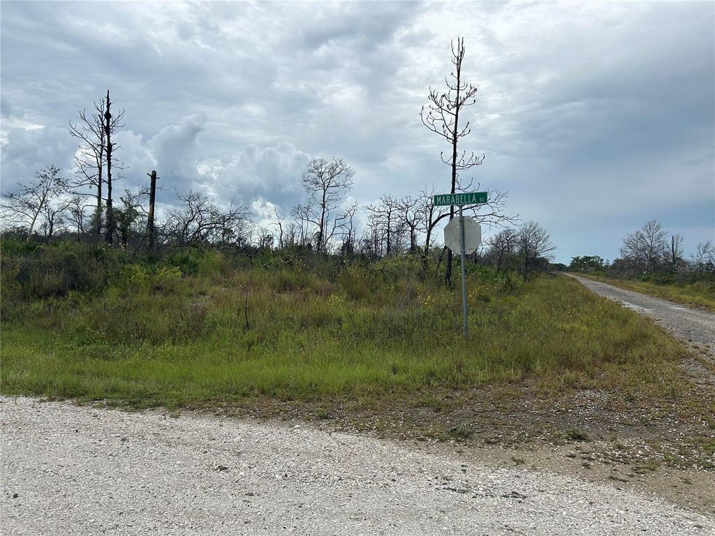 Photo of 3520 Mariana Avenue, Lake Placid, FL 33852 (MLS # O6312709)