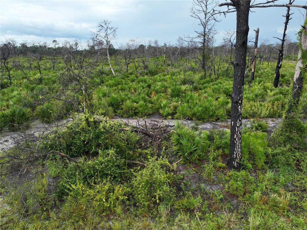 Photo of 3520 Mariana Avenue, Lake Placid, FL 33852 (MLS # O6312709)