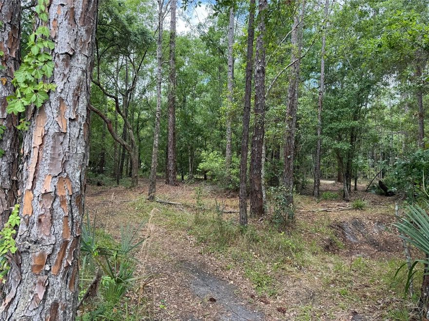 1/4 acre lot in interesting part of Osteen. The goats seem friendly.
