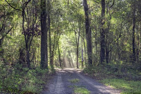Tiny photo for 4701 NE Jacksonville Road, Ocala, FL 34479 (MLS # OM705179)