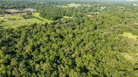 Tiny photo for 4701 NE Jacksonville Road, Ocala, FL 34479 (MLS # OM705179)