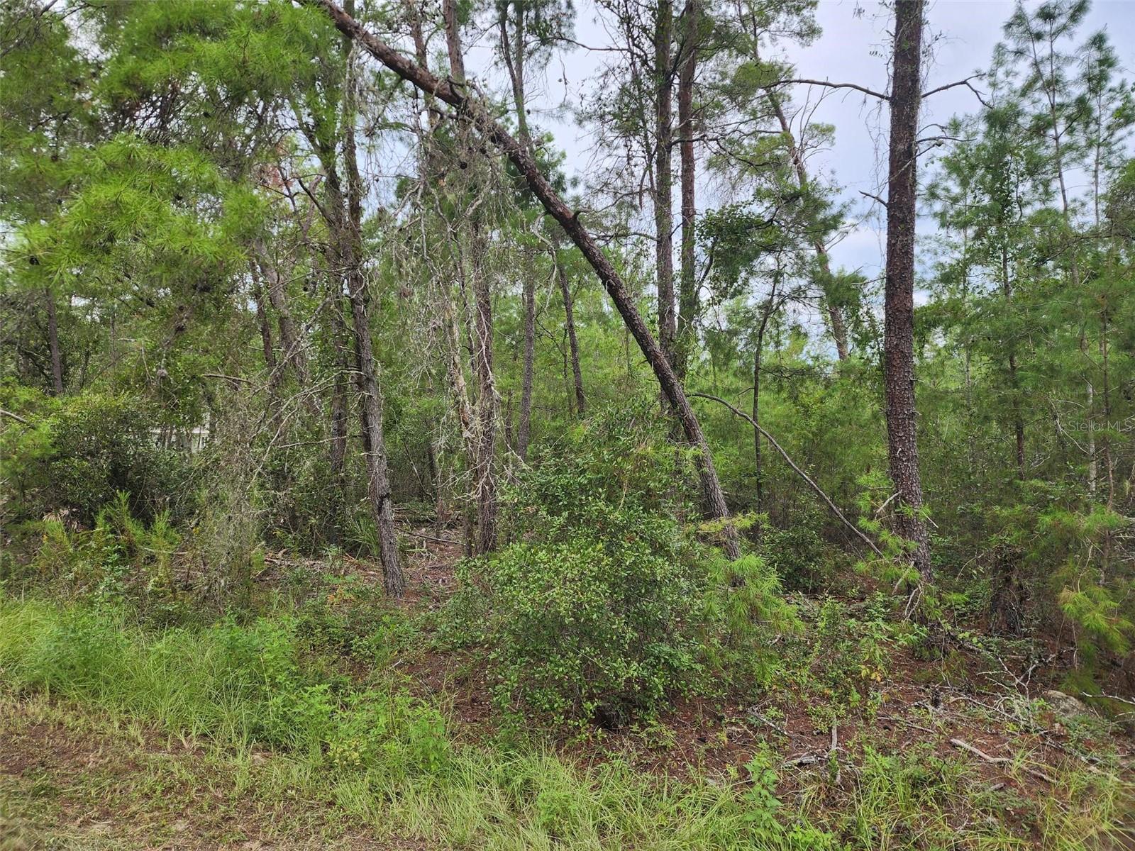 Build your dream home on this spacious vacant lot located in the growing community of Silver Spring Shores! Nestled in a quiet, established neighborhood, this property offers easy access to shopping, dining, schools, and outdoor recreation. With no HOA and plenty of room for a custom build, this is the perfect opportunity for homeowners, investors, or builders looking to capitalize on one of Marion County’s fastest-growing areas. Don’t miss your chance to own a piece of Florida paradise—drive by and take a look today!