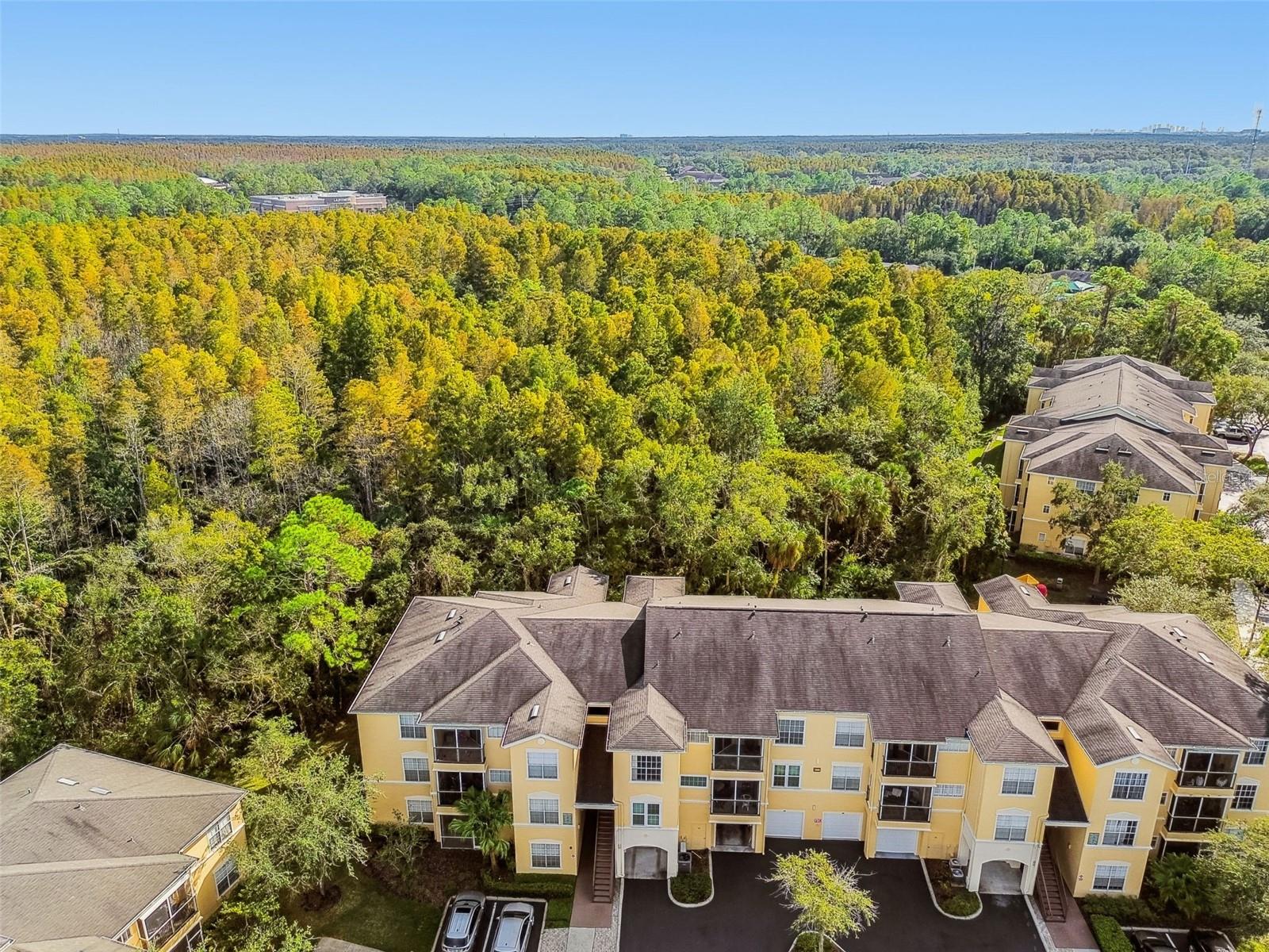 OXFORD PLACE AT TAMPA PALMS A - Residential