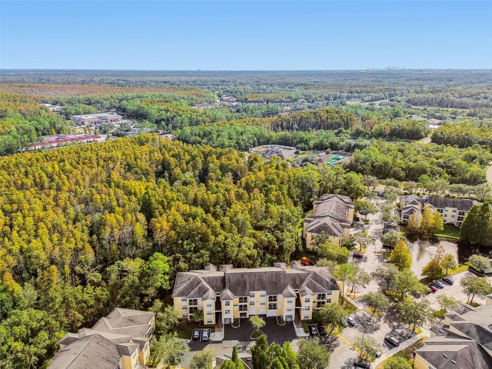 OXFORD PLACE AT TAMPA PALMS A - Residential