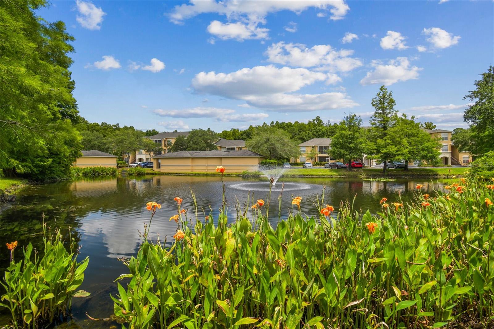 OXFORD PLACE AT TAMPA PALMS A - Residential