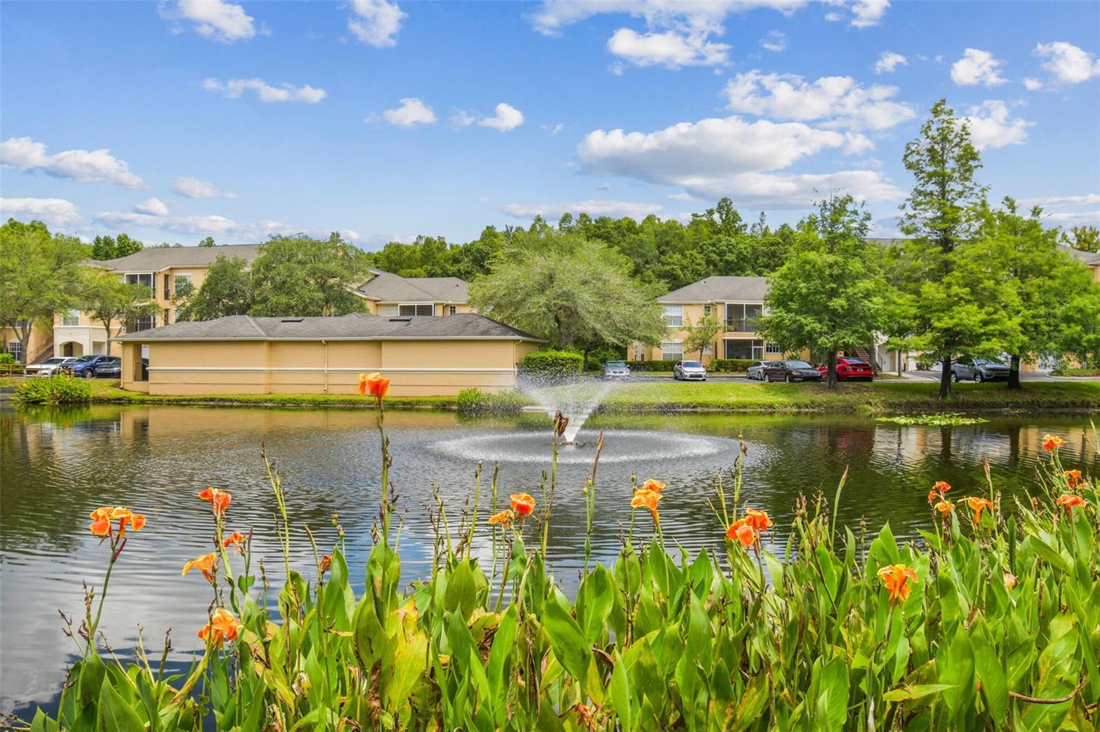 OXFORD PLACE AT TAMPA PALMS A - Residential