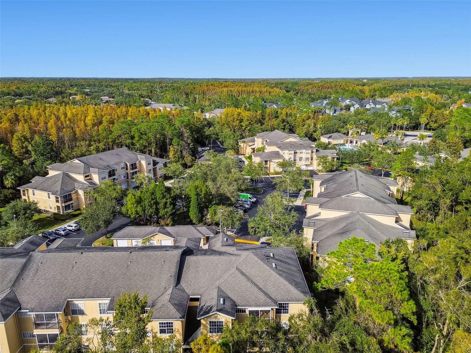 OXFORD PLACE AT TAMPA PALMS A - Residential