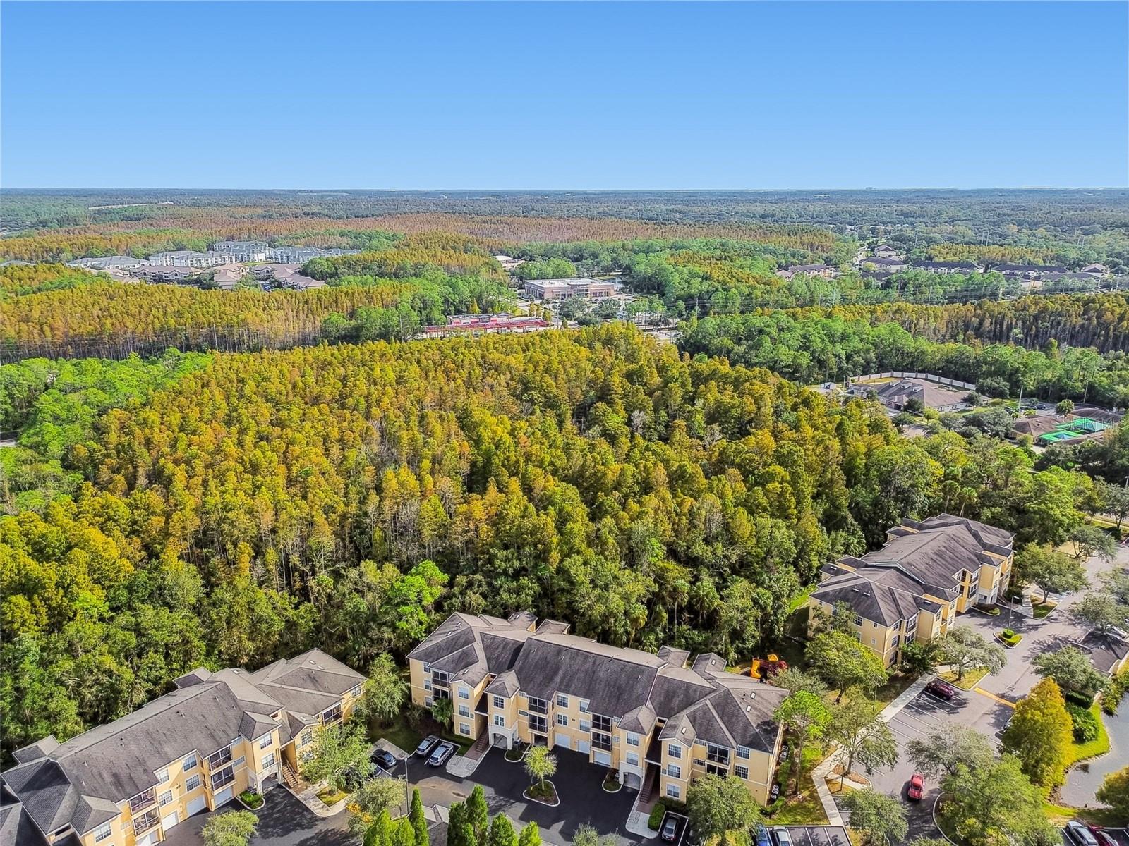 OXFORD PLACE AT TAMPA PALMS A - Residential