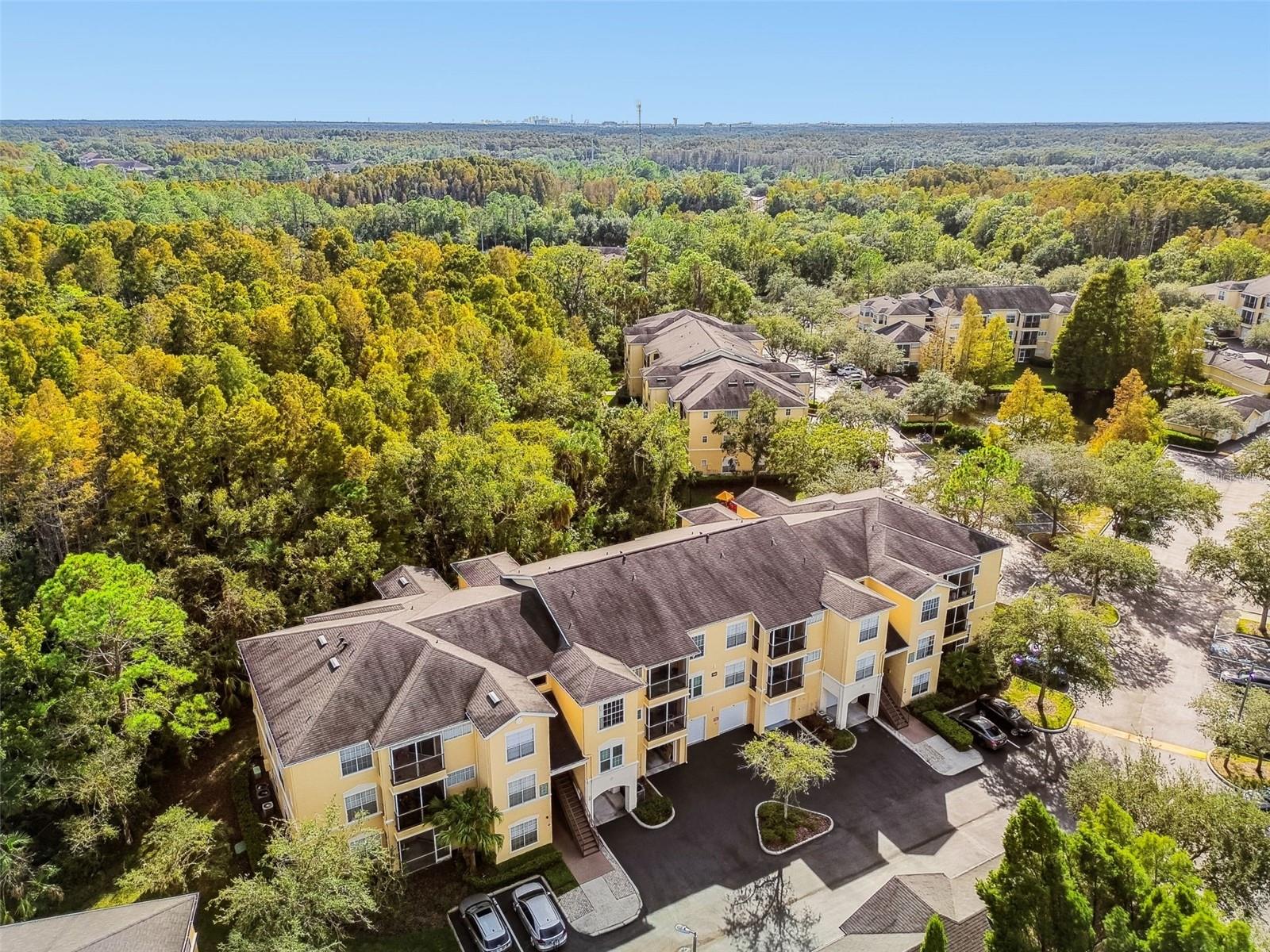 OXFORD PLACE AT TAMPA PALMS A - Residential