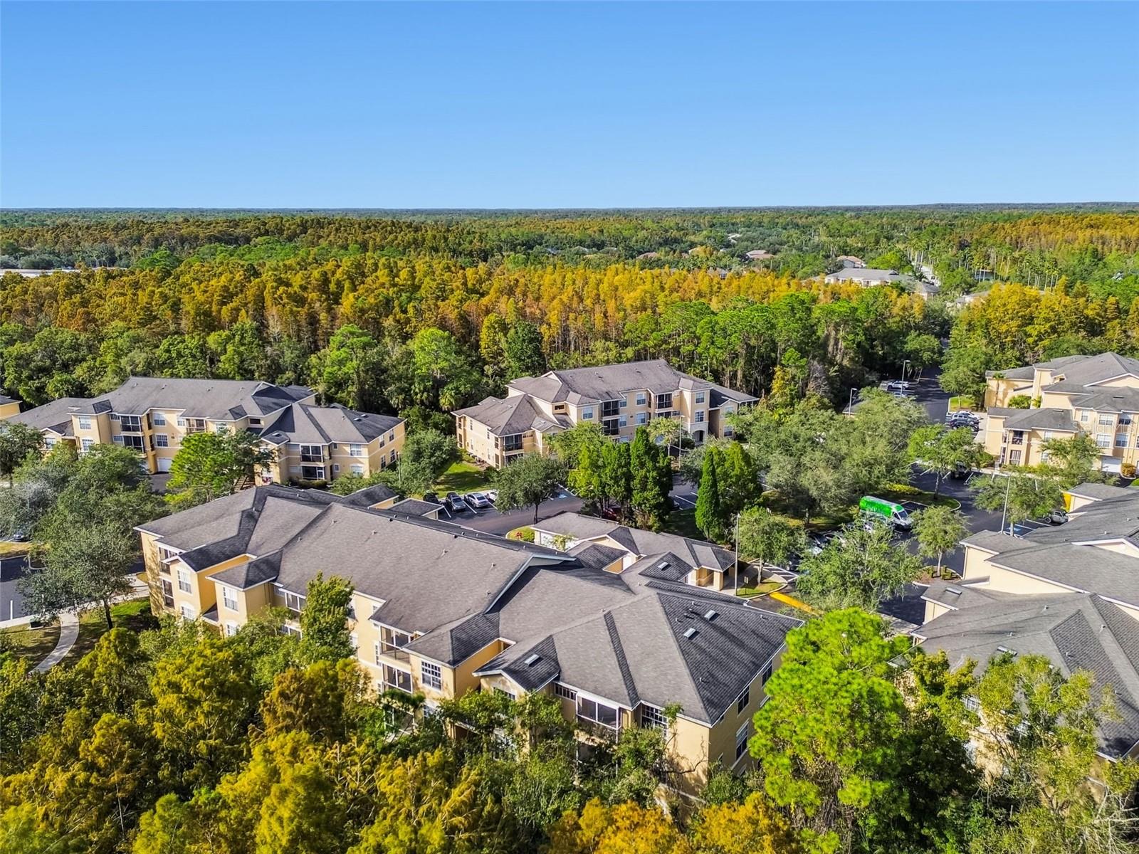 OXFORD PLACE AT TAMPA PALMS A - Residential