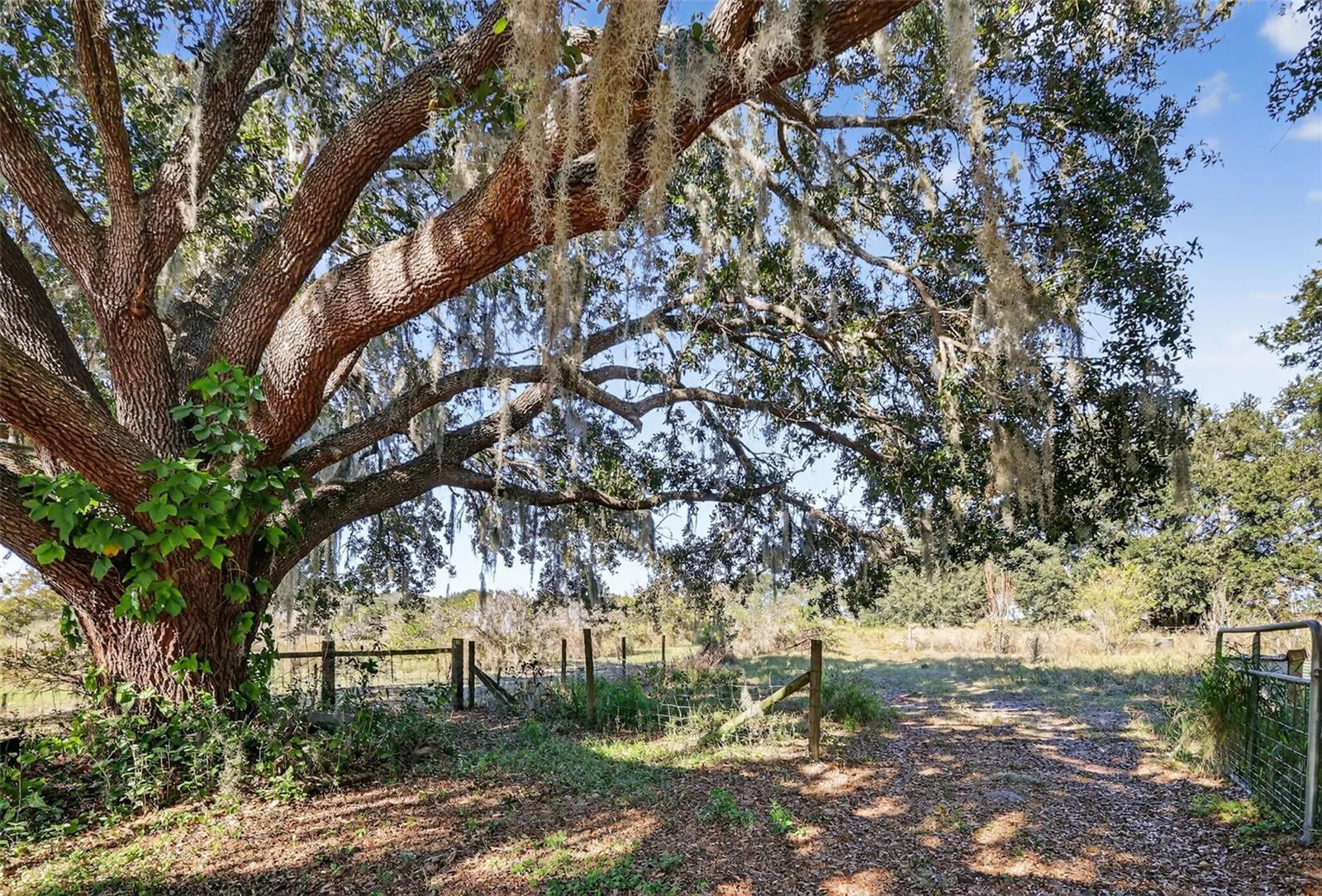 LANE PARK - Residential