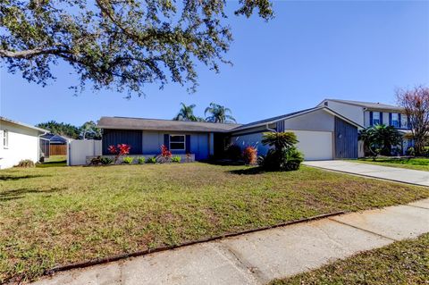 A home in TAMPA