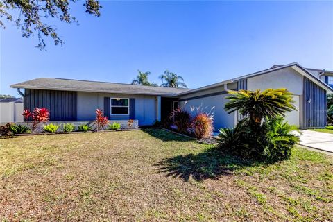 A home in TAMPA