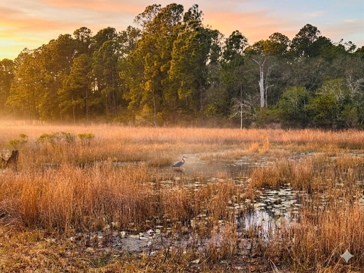 ROYAL TRAILS UNIT 01 - Residential