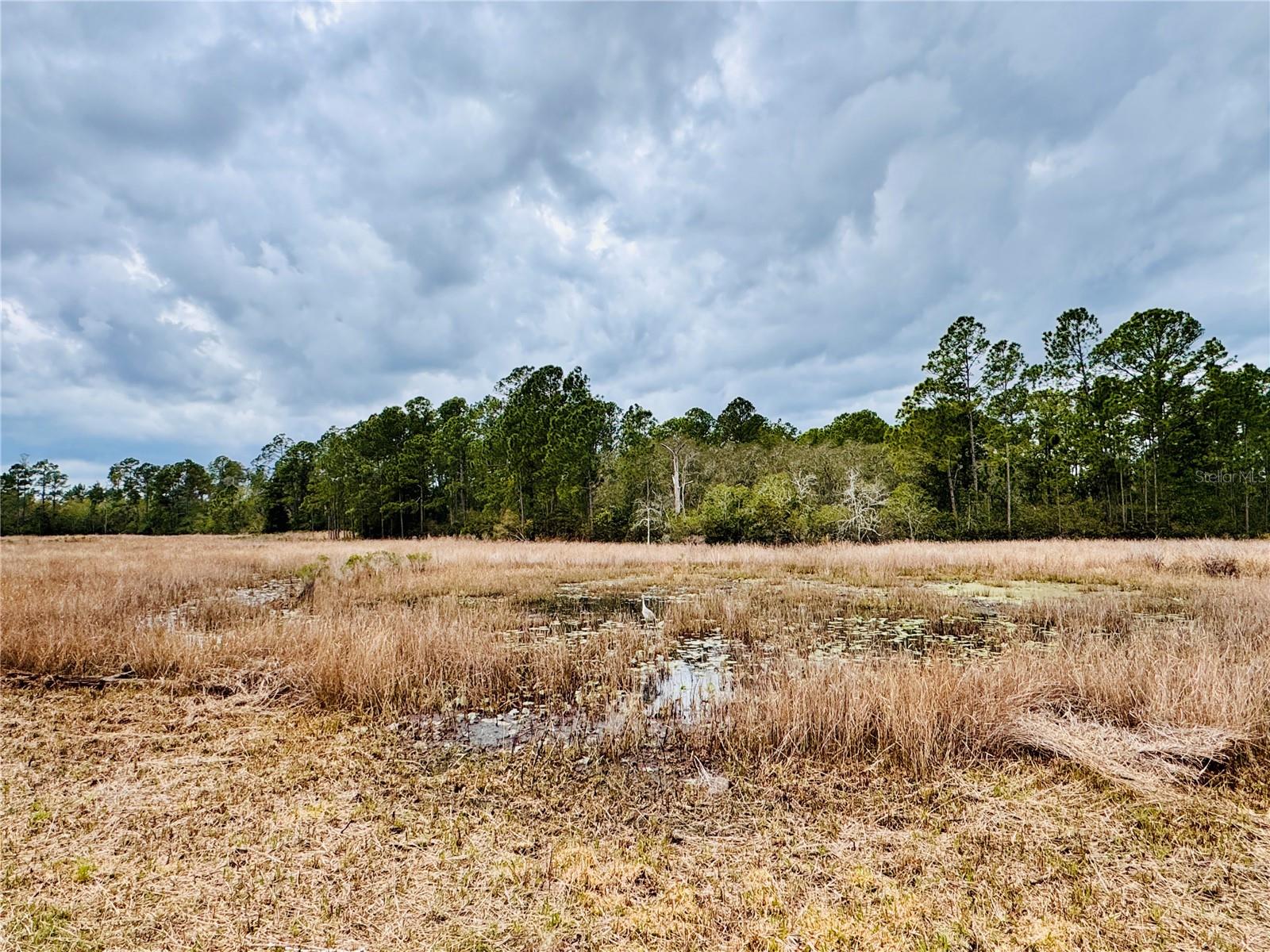 ROYAL TRAILS UNIT 01 - Residential