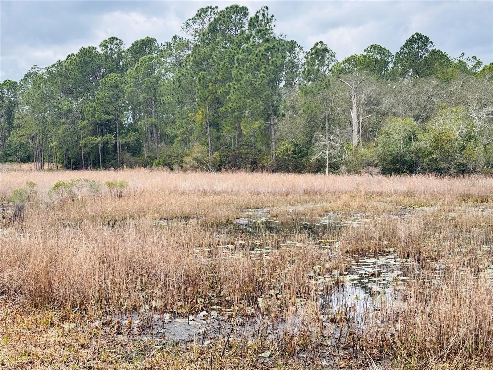 ROYAL TRAILS UNIT 01 - Residential