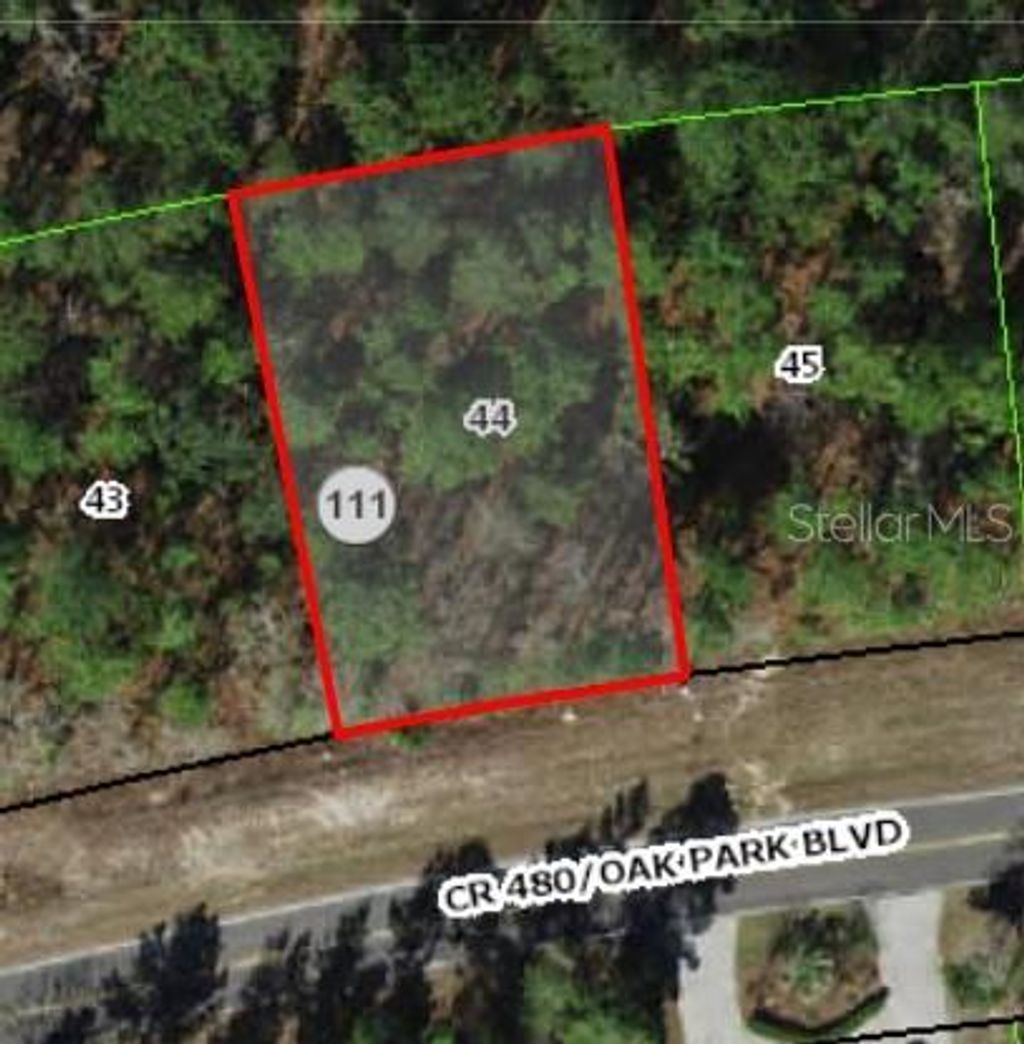 Photo of 6027 W Oak Park Boulevard, Homosassa, FL 34446 (MLS # TB8440517)