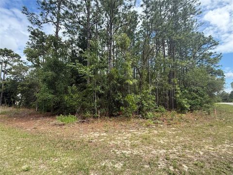 7103 N HEMMINGWAY DRIVE DUNNELLON FL 34434