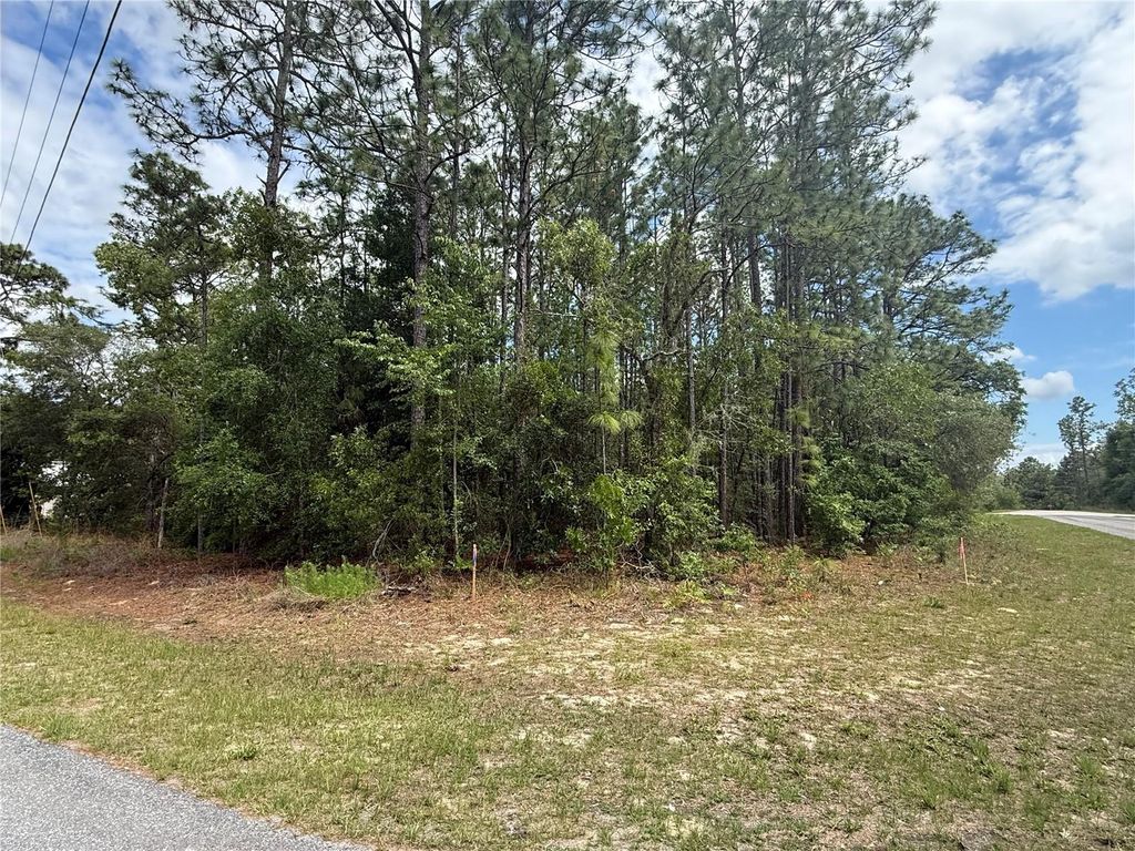Photo of 7103 N Hemmingway Drive, Dunnellon, FL 34434 (MLS # TB8508523)