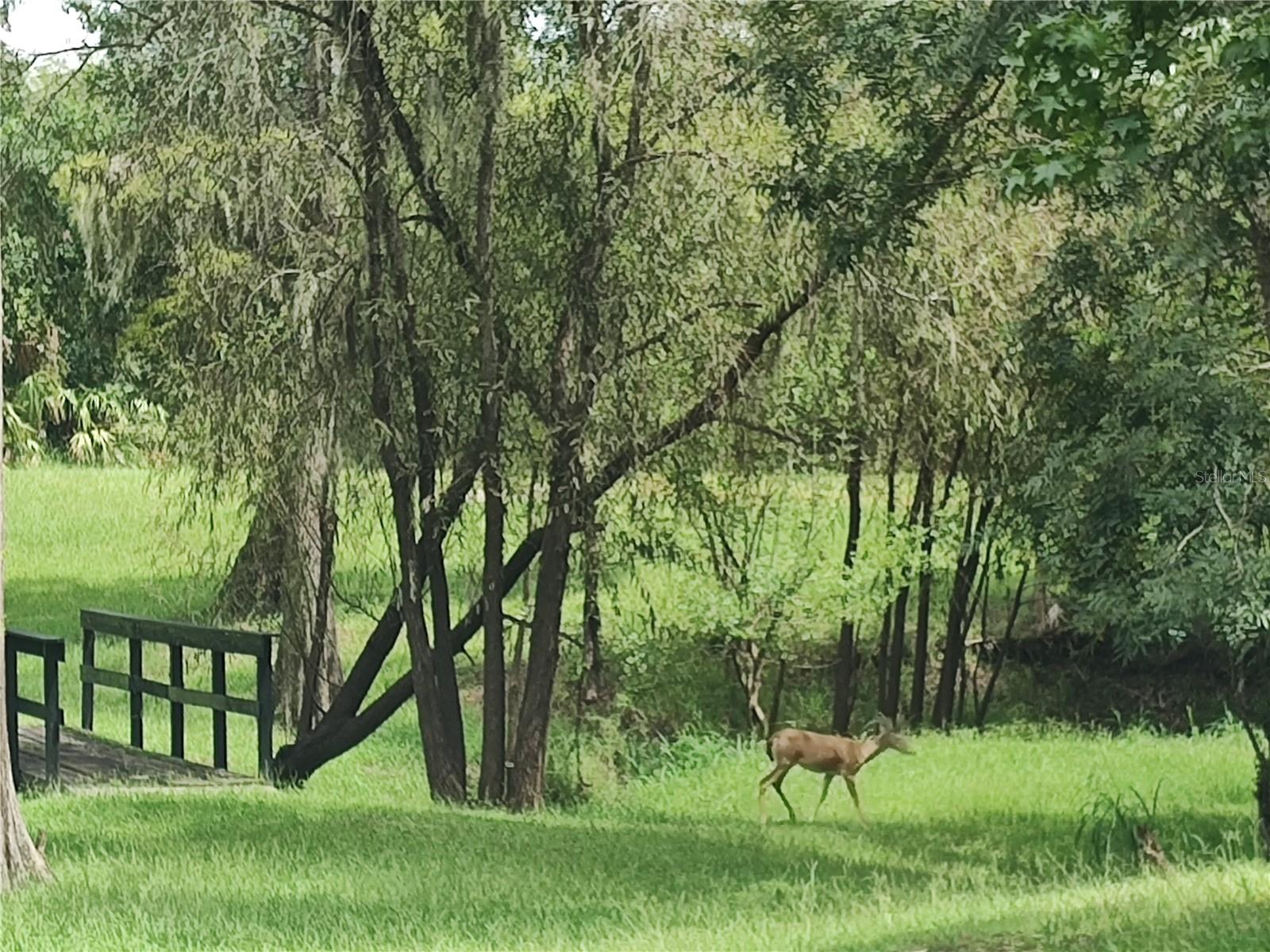 HO DENT CORP - Residential