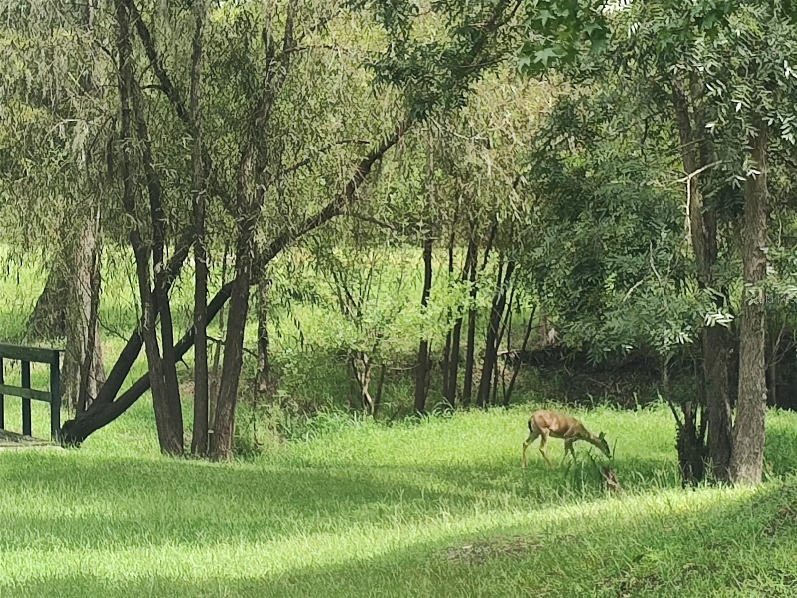 HO DENT CORP - Residential