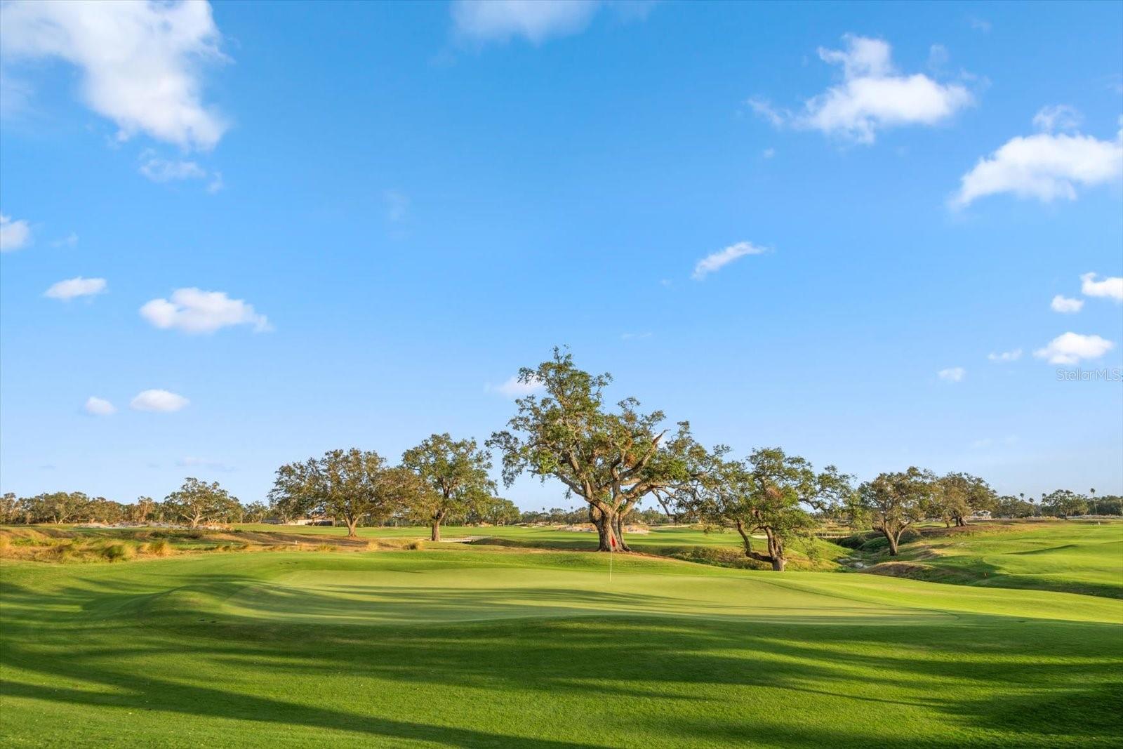 BELLEVIEW BILTMORE VILLAS SOUTH GARDEN - Residential