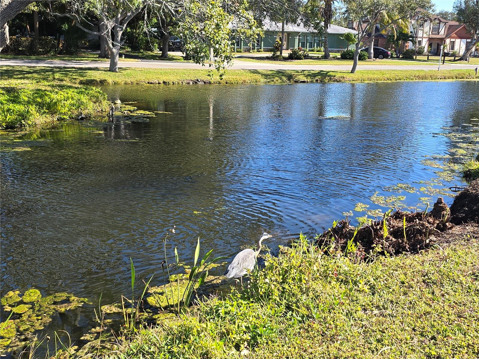 CIMARRON - Residential