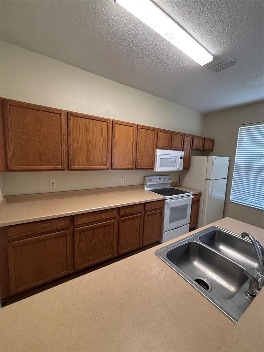 Photo of 2417 Temple Grove Lane, Kissimmee, FL 34741 (MLS # O6426387)