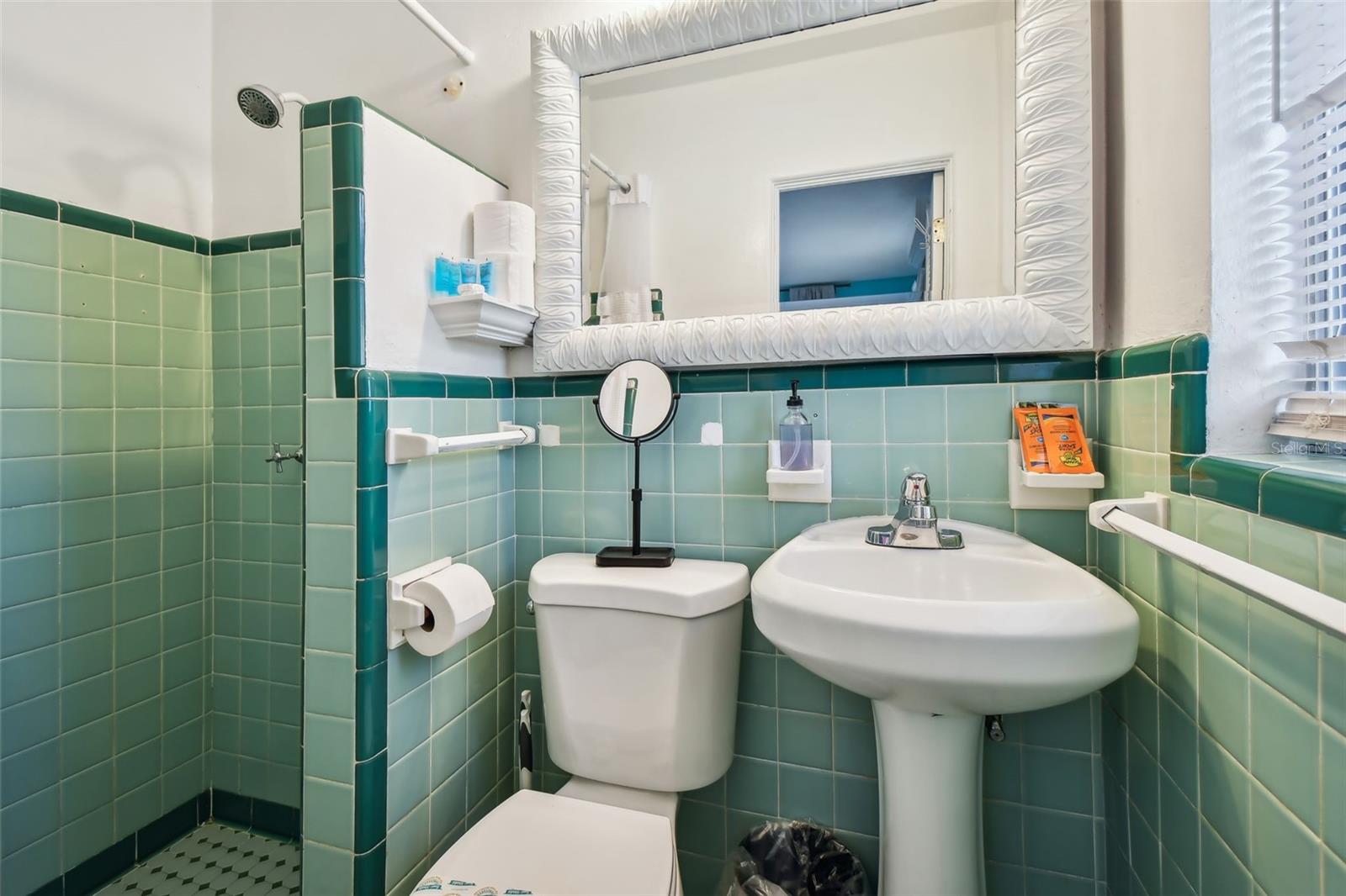 CONEY ISLAND - Residential Income