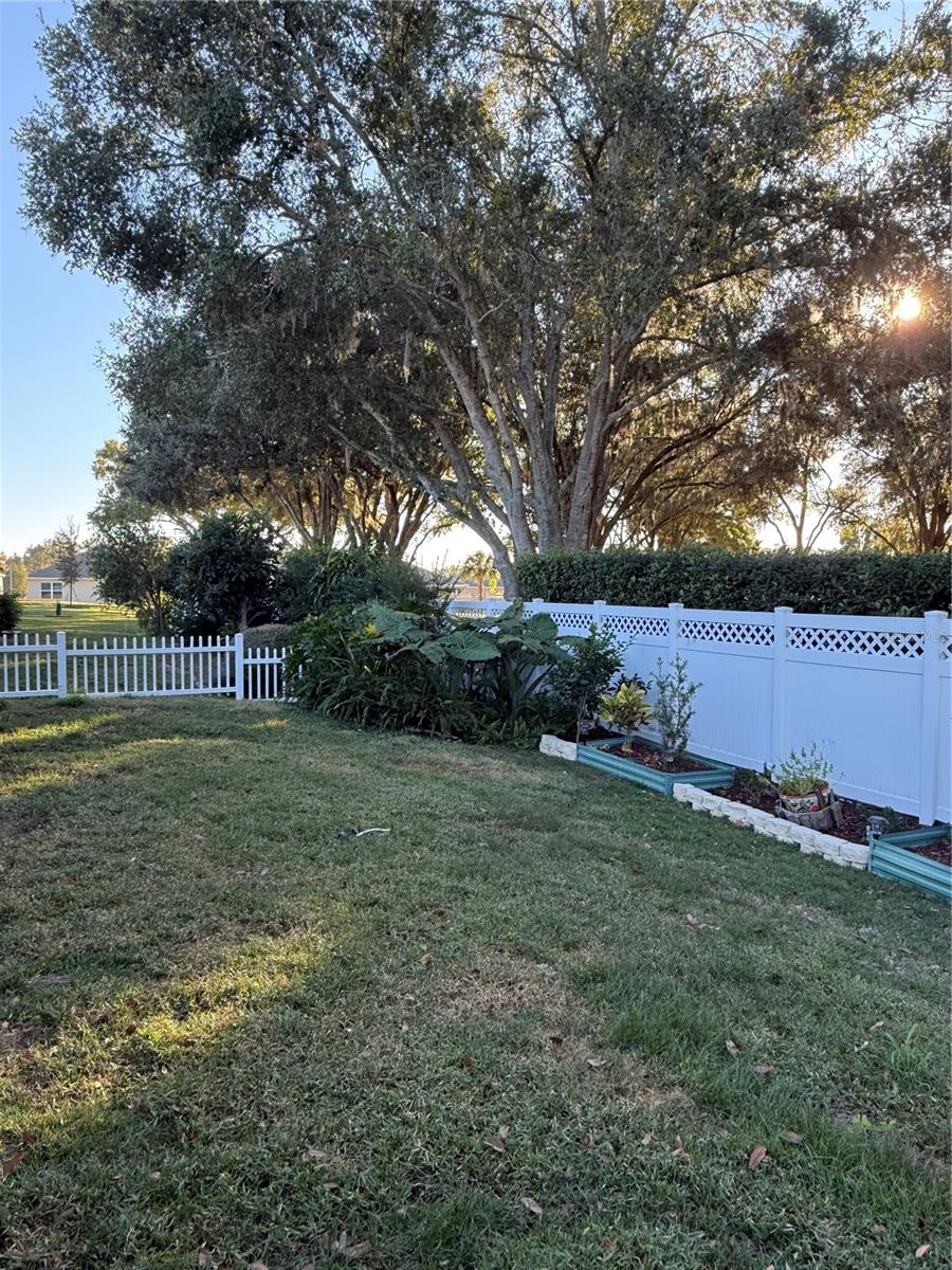 28027 CYPRESS SPRINGS LOOP