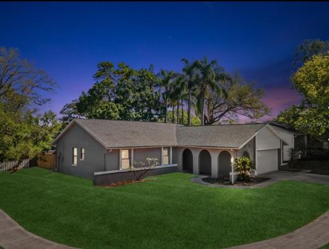 A home in PALM HARBOR