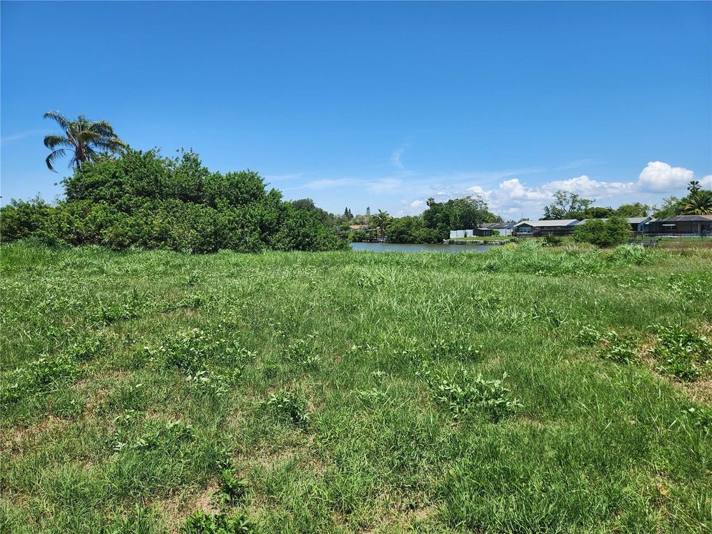 Photo of 3129 Jackson Drive, Holiday, FL 34691 (MLS # TB8387933)