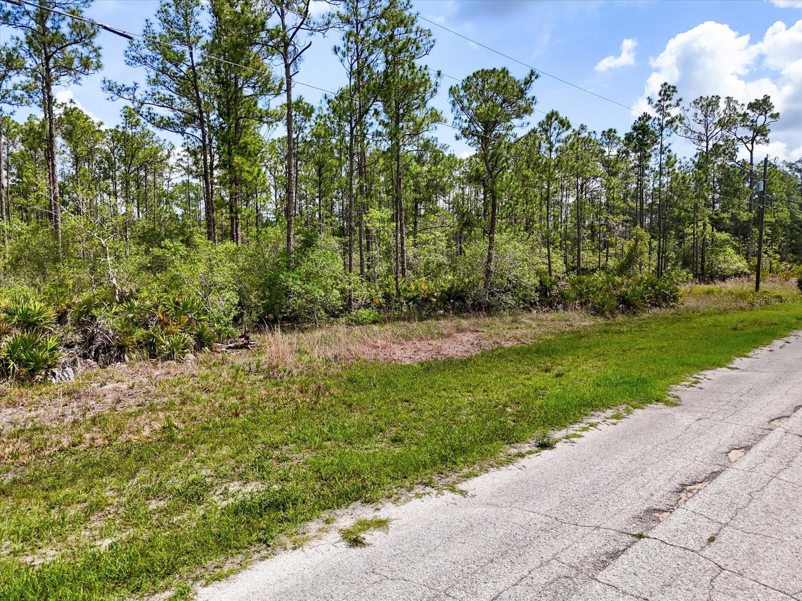 Come Build Your Florida Dream!
Welcome to Lot 61 Meadowlark Blvd — a rare opportunity to own 1.74 acres of prime Florida land in the highly sought-after Indian Lake Estates community. For those looking for even more space to create their dream estate, the adjacent LOT 62 1.74-acre lot is also available, offering a combined total of 3.48 acres.
Nestled in the Woodlands section of Indian Lake Estates, this property invites you to design and build your forever home in a serene natural setting where Florida living truly shines. Whether you're ready to build now or invest for the future, this lot offers incredible potential.
Community Highlights:
Situated around the 7,500-acre Lake Walk-In-Water — one of Florida's top bass fishing lakes
Private community beach, boat ramp, marina, and the longest freshwater fishing pier in Florida
18-hole championship golf course, basketball & tennis courts
23,000 sq.ft. clubhouse with café, fitness room, pro shop, post office, library, and churches
Lifestyle Perks:
Peaceful country living surrounded by deer, wild turkey, cranes, and native Florida wildlife
Just 20 miles east of Lake Wales for shopping, dining, and local conveniences
Only 1 hour to Orlando, Disney, Tampa, Busch Gardens, and some of Florida’s best Gulf Coast beaches
Whether you envision quiet mornings fishing, afternoons on the golf course, or simply enjoying the peaceful sounds of nature, Indian Lake Estates offers a lifestyle where tranquility meets convenience.
Don’t miss your chance to secure this beautiful homesite in the heart of Central Florida. Buy one lot or both to maximize your space and your vision.
