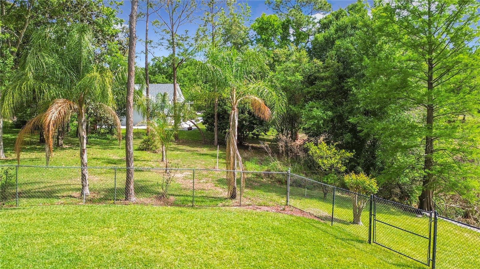 SPRING PINES - Residential