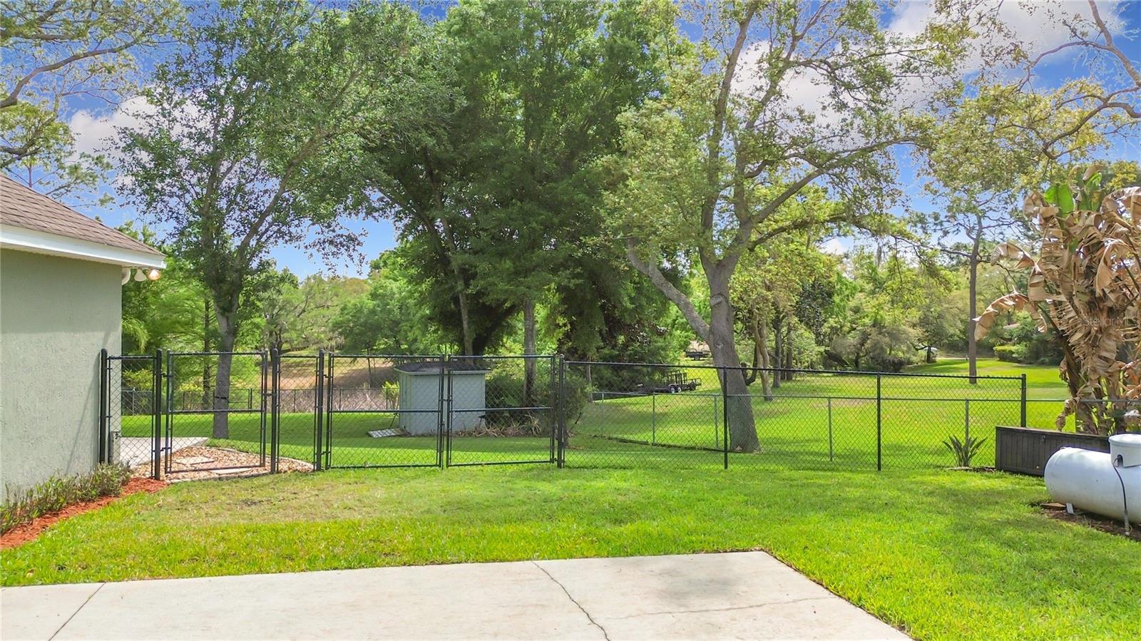 SPRING PINES - Residential