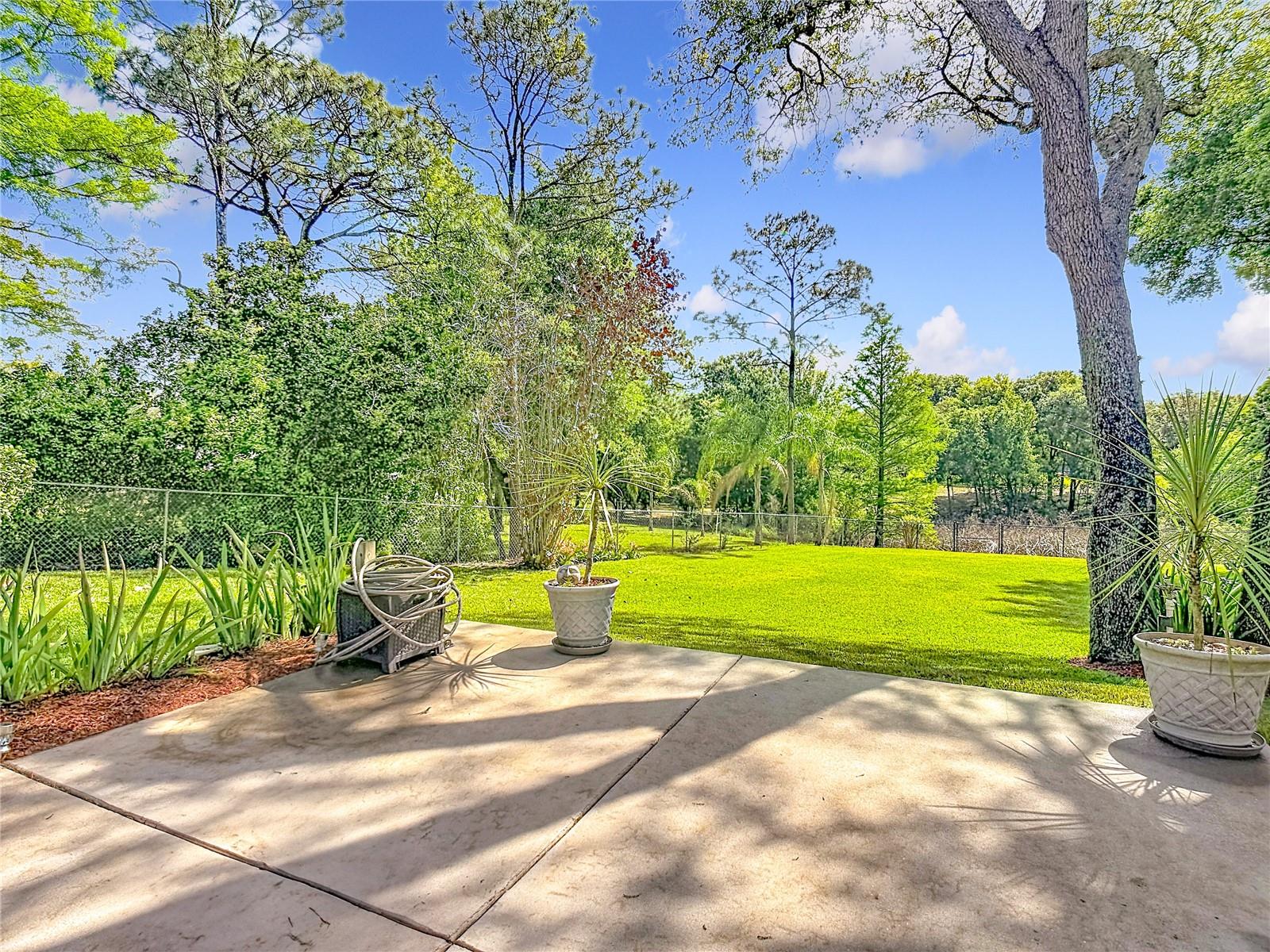 SPRING PINES - Residential